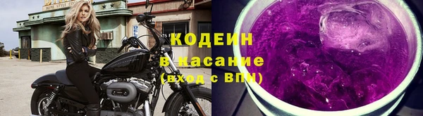 стаф Каменск-Шахтинский