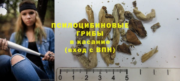 стаф Каменск-Шахтинский