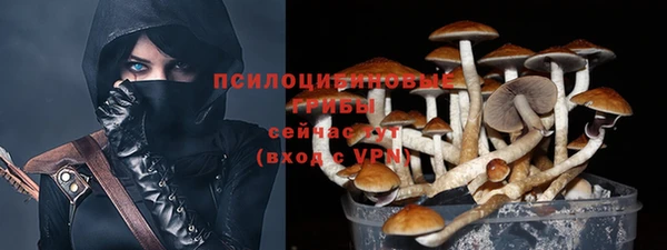 стаф Карталы