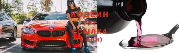 стаф Карталы