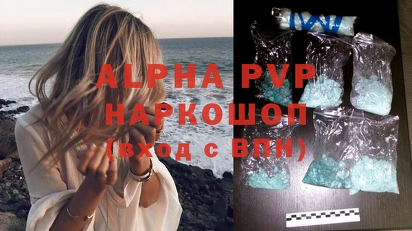 ешки Каменногорск