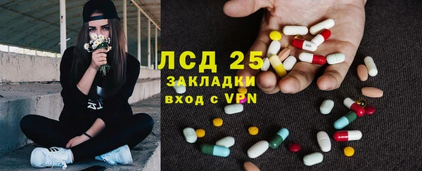 ешки Каменногорск