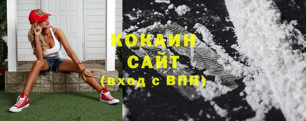 ешки Каменногорск