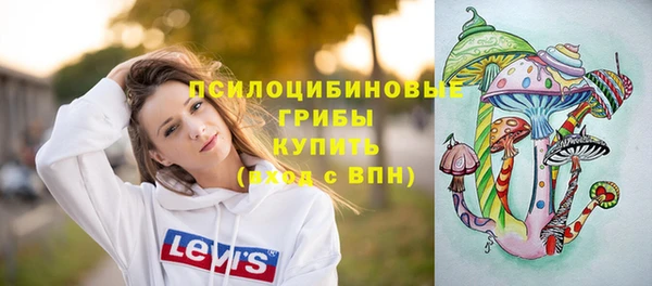 герыч Каменка